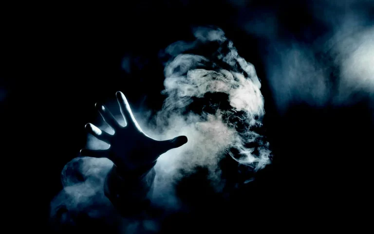 جنات کی دنیا، انکی اقسام اور خوراک